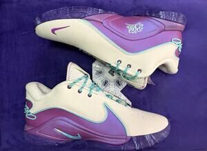 Nike LeBron 22 Frozen Grapes Mens 11.5 Soft Pearl Hyper Turquois HV84540 01 BNHB